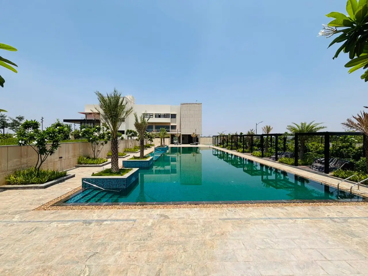 Swimming pool with deck and palms